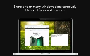 Screegle – Clean Screen Sharing 2.2.12 for Mac