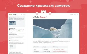 Bear 2.9.2 for Mac
